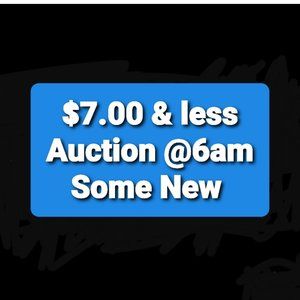$7. & Less Auction Clothing Jewelry Glassware Ty beanie